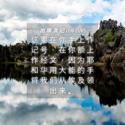 Picture 04 - 出 埃 及 记 13:16 CUVS - 这 要 在 你 手 上 作 记 号 ， 在 你 - Bible Verse Picture