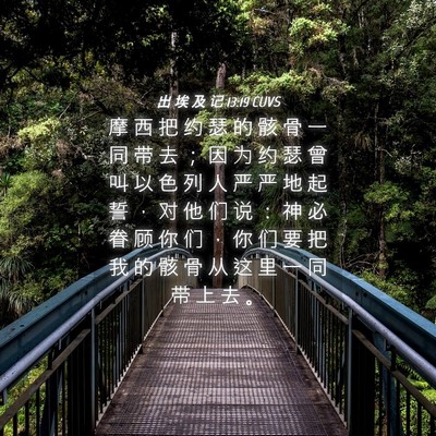Picture 04 - 出 埃 及 记 13:19 CUVS - 摩 西 把 约 瑟 的 骸 骨 一 同 带 去 - Bible Verse Picture