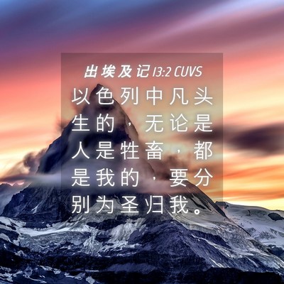 Picture 04 - 出 埃 及 记 13:2 CUVS - 以 色 列 中 凡 头 生 的 ， 无 论 是 - Bible Verse Picture