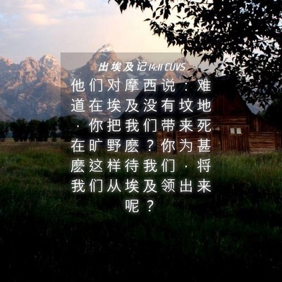 Picture 04 - 出 埃 及 记 14:11 CUVS - 他 们 对 摩 西 说 ： 难 道 在 埃 及 - Bible Verse Picture