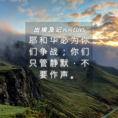 Picture 04 - 出 埃 及 记 14:14 CUVS - 耶 和 华 必 为 你 们 争 战 ； 你 们 - Bible Verse Picture