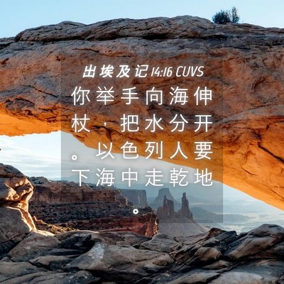 Picture 04 - 出 埃 及 记 14:16 CUVS - 你 举 手 向 海 伸 杖 ， 把 水 分 开 - Bible Verse Picture