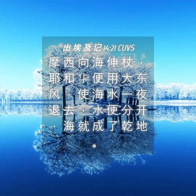 Picture 04 - 出 埃 及 记 14:21 CUVS - 摩 西 向 海 伸 杖 ， 耶 和 华 便 用 - Bible Verse Picture