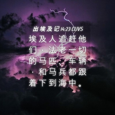 Picture 04 - 出 埃 及 记 14:23 CUVS - 埃 及 人 追 赶 他 们 ， 法 老 一 切 - Bible Verse Picture