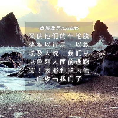 Picture 04 - 出 埃 及 记 14:25 CUVS - 又 使 他 们 的 车 轮 脱 落 难 以 行 - Bible Verse Picture