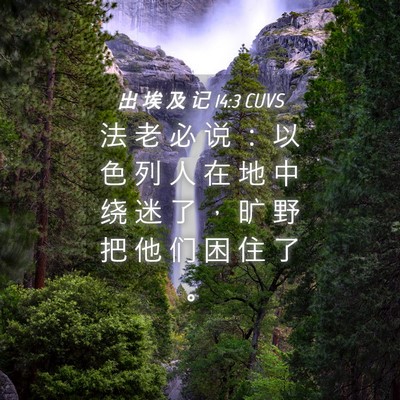 Picture 04 - 出 埃 及 记 14:3 CUVS - 法 老 必 说 ： 以 色 列 人 在 地 中 - Bible Verse Picture
