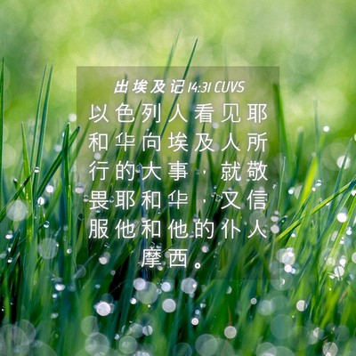 Picture 04 - 出 埃 及 记 14:31 CUVS - 以 色 列 人 看 见 耶 和 华 向 埃 及 - Bible Verse Picture