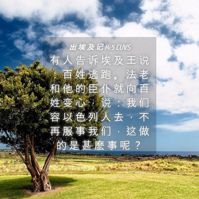 Picture 04 - 出 埃 及 记 14:5 CUVS - 有 人 告 诉 埃 及 王 说 ： 百 姓 逃 - Bible Verse Picture