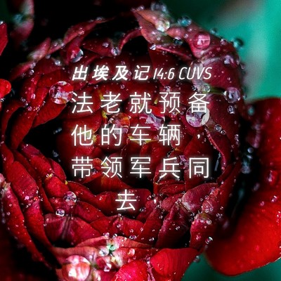 Picture 04 - 出 埃 及 记 14:6 CUVS - 法 老 就 预 备 他 的 车 辆 ， 带 领 - Bible Verse Picture