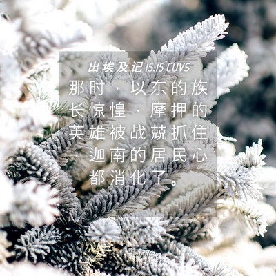 Picture 04 - 出 埃 及 记 15:15 CUVS - 那 时 ， 以 东 的 族 长 惊 惶 ， 摩 - Bible Verse Picture