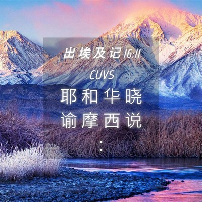Picture 04 - 出 埃 及 记 16:11 CUVS - 耶 和 华 晓 谕 摩 西 说 - Bible Verse Picture