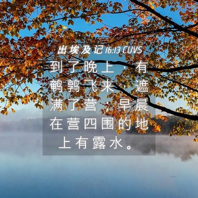 Picture 04 - 出 埃 及 记 16:13 CUVS - 到 了 晚 上 ， 有 鹌 鹑 飞 来 ， 遮 - Bible Verse Picture