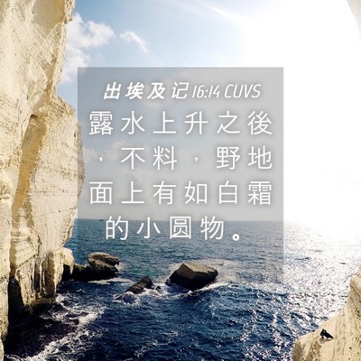 Picture 04 - 出 埃 及 记 16:14 CUVS - 露 水 上 升 之 後 ， 不 料 ， 野 地 - Bible Verse Picture