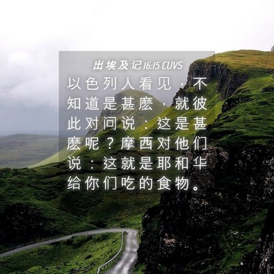 Picture 04 - 出 埃 及 记 16:15 CUVS - 以 色 列 人 看 见 ， 不 知 道 是 甚 - Bible Verse Picture