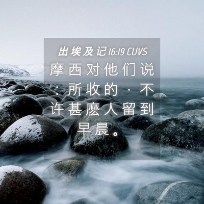Picture 04 - 出 埃 及 记 16:19 CUVS - 摩 西 对 他 们 说 ： 所 收 的 ， 不 - Bible Verse Picture
