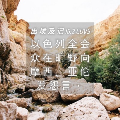 Picture 04 - 出 埃 及 记 16:2 CUVS - 以 色 列 全 会 众 在 旷 野 向 摩 西 - Bible Verse Picture