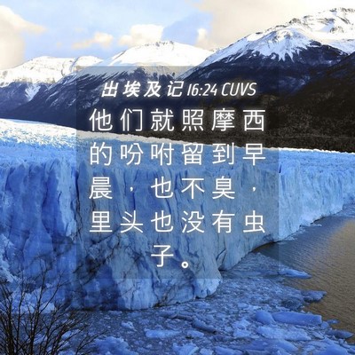 Picture 04 - 出 埃 及 记 16:24 CUVS - 他 们 就 照 摩 西 的 吩 咐 留 到 早 - Bible Verse Picture