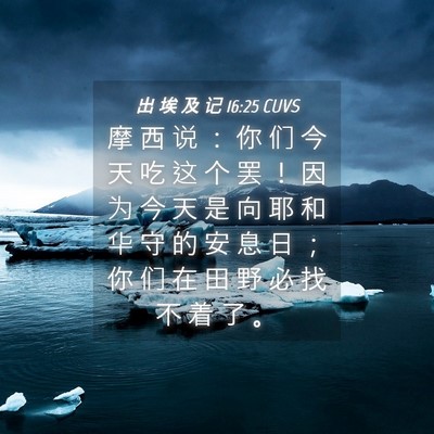Picture 04 - 出 埃 及 记 16:25 CUVS - 摩 西 说 ： 你 们 今 天 吃 这 个 罢 - Bible Verse Picture