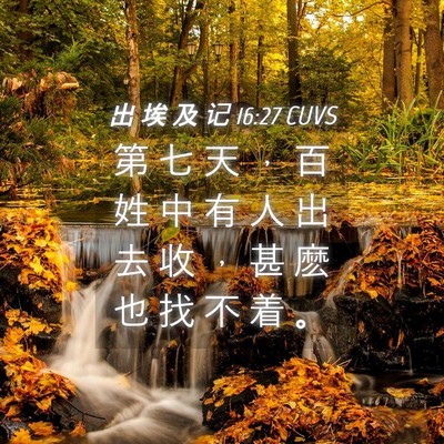 Picture 04 - 出 埃 及 记 16:27 CUVS - 第 七 天 ， 百 姓 中 有 人 出 去 收 - Bible Verse Picture