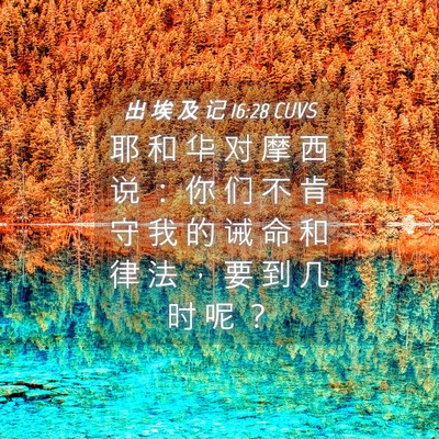 Picture 04 - 出 埃 及 记 16:28 CUVS - 耶 和 华 对 摩 西 说 ： 你 们 不 肯 - Bible Verse Picture