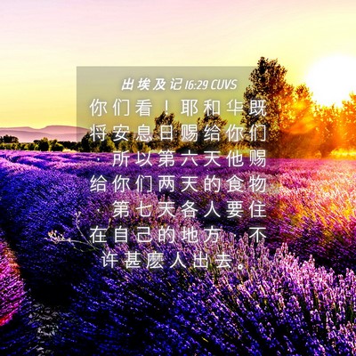 Picture 04 - 出 埃 及 记 16:29 CUVS - 你 们 看 ！ 耶 和 华 既 将 安 息 日 - Bible Verse Picture