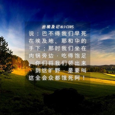 Picture 04 - 出 埃 及 记 16:3 CUVS - 说 ： 巴 不 得 我 们 早 死 在 埃 及 - Bible Verse Picture