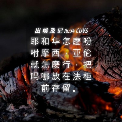 Picture 04 - 出 埃 及 记 16:34 CUVS - 耶 和 华 怎 麽 吩 咐 摩 西 ， 亚 伦 - Bible Verse Picture
