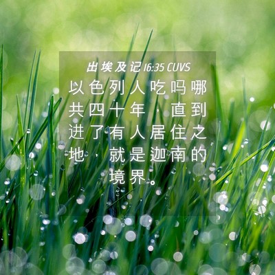 Picture 04 - 出 埃 及 记 16:35 CUVS - 以 色 列 人 吃 吗 哪 共 四 十 年 ， - Bible Verse Picture