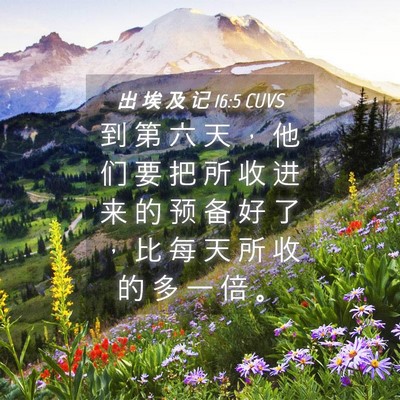 Picture 04 - 出 埃 及 记 16:5 CUVS - 到 第 六 天 ， 他 们 要 把 所 收 进 - Bible Verse Picture