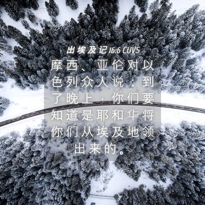 Picture 04 - 出 埃 及 记 16:6 CUVS - 摩 西 、 亚 伦 对 以 色 列 众 人 说 - Bible Verse Picture