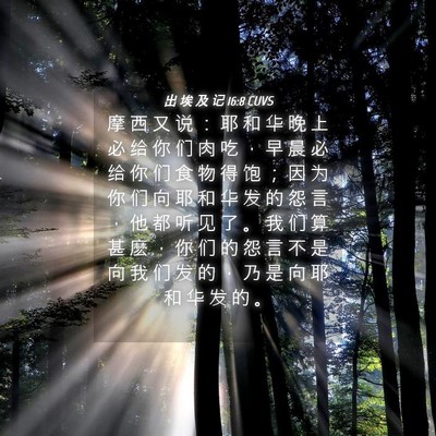 Picture 04 - 出 埃 及 记 16:8 CUVS - 摩 西 又 说 ： 耶 和 华 晚 上 必 给 - Bible Verse Picture