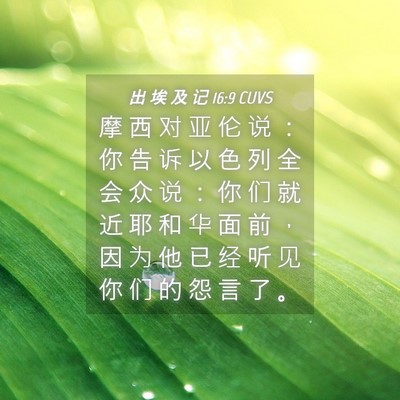 Picture 04 - 出 埃 及 记 16:9 CUVS - 摩 西 对 亚 伦 说 ： 你 告 诉 以 色 - Bible Verse Picture