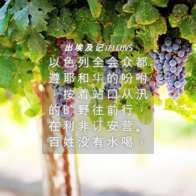 Picture 04 - 出 埃 及 记 17:1 CUVS - 以 色 列 全 会 众 都 遵 耶 和 华 的 - Bible Verse Picture