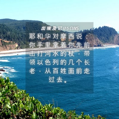 Picture 04 - 出 埃 及 记 17:5 CUVS - 耶 和 华 对 摩 西 说 ： 你 手 里 拿 - Bible Verse Picture