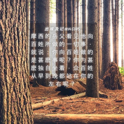 Picture 04 - 出 埃 及 记 18:14 CUVS - 摩 西 的 岳 父 看 见 他 向 百 姓 所 - Bible Verse Picture