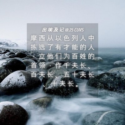 Picture 04 - 出 埃 及 记 18:25 CUVS - 摩 西 从 以 色 列 人 中 拣 选 了 有 - Bible Verse Picture