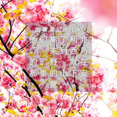 Picture 04 - 出 埃 及 记 19:2 CUVS - 他 们 离 了 利 非 订 ， 来 到 西 乃 - Bible Verse Picture