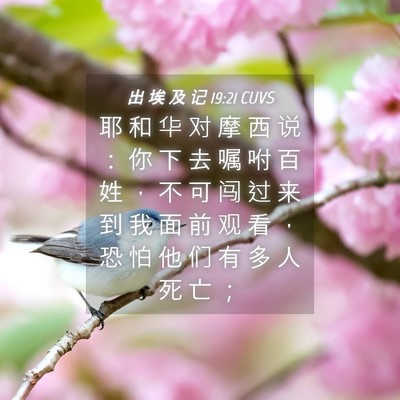 Picture 04 - 出 埃 及 记 19:21 CUVS - 耶 和 华 对 摩 西 说 ： 你 下 去 嘱 - Bible Verse Picture