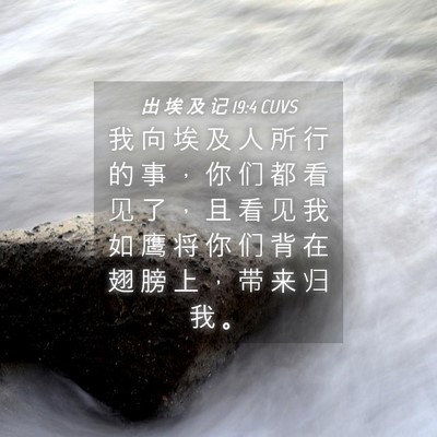 Picture 04 - 出 埃 及 记 19:4 CUVS - 我 向 埃 及 人 所 行 的 事 ， 你 们 - Bible Verse Picture