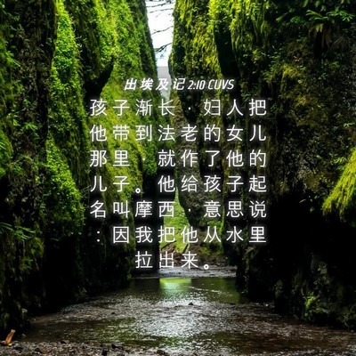 Picture 04 - 出 埃 及 记 2:10 CUVS - 孩 子 渐 长 ， 妇 人 把 他 带 到 法 - Bible Verse Picture