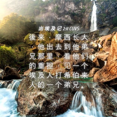 Picture 04 - 出 埃 及 记 2:11 CUVS - 後 来 ， 摩 西 长 大 ， 他 出 去 到 - Bible Verse Picture