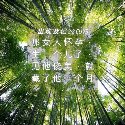 Picture 04 - 出 埃 及 记 2:2 CUVS - 那 女 人 怀 孕 ， 生 一 个 儿 子 ， - Bible Verse Picture