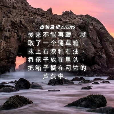 Picture 04 - 出 埃 及 记 2:3 CUVS - 後 来 不 能 再 藏 ， 就 取 了 一 个 - Bible Verse Picture