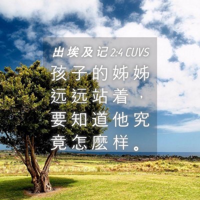 Picture 04 - 出 埃 及 记 2:4 CUVS - 孩 子 的 姊 姊 远 远 站 着 ， 要 知 - Bible Verse Picture