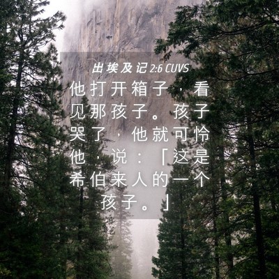 Picture 04 - 出 埃 及 记 2:6 CUVS - 他 打 开 箱 子 ， 看 见 那 孩 子 。 - Bible Verse Picture
