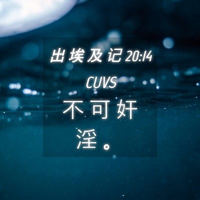Picture 04 - 出 埃 及 记 20:14 CUVS - 不 可 奸 淫 - Bible Verse Picture