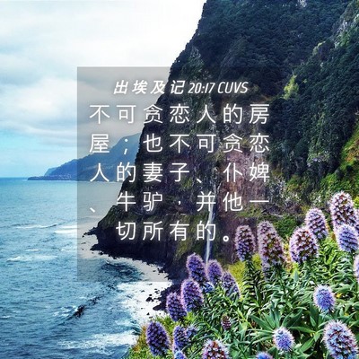 Picture 04 - 出 埃 及 记 20:17 CUVS - 不 可 贪 恋 人 的 房 屋 ； 也 不 可 - Bible Verse Picture