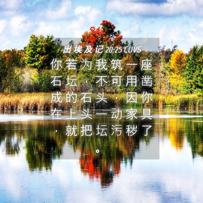 Picture 04 - 出 埃 及 记 20:25 CUVS - 你 若 为 我 筑 一 座 石 坛 ， 不 可 - Bible Verse Picture