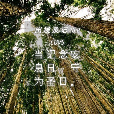 Picture 04 - 出 埃 及 记 20:8 CUVS - 当 记 念 安 息 日 ， 守 为 圣 日 - Bible Verse Picture