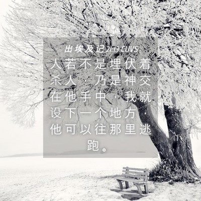 Picture 04 - 出 埃 及 记 21:13 CUVS - 人 若 不 是 埋 伏 着 杀 人 ， 乃 是 - Bible Verse Picture